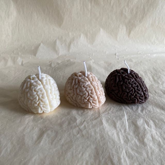 Anatomical Brain Candles