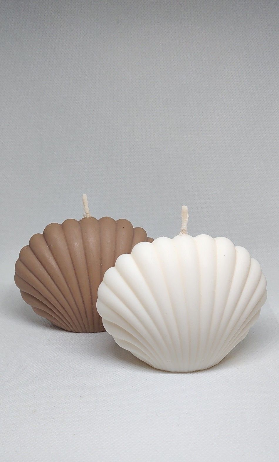 Shell Sculptural Candle — A softly ribbed shell inspired by the sea.